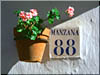 Banco de Imagen de Marbella
    Image Bank of Marbella