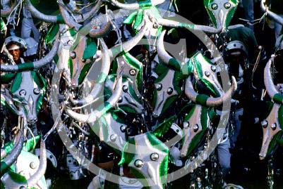 carnaval011