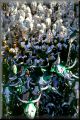 carnaval004