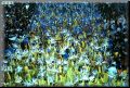 carnaval012