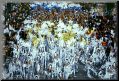 carnaval016