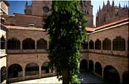  Universidad de Salamanca 