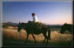 Campesino de Ja�n