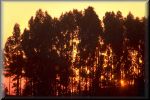 Img-0009
