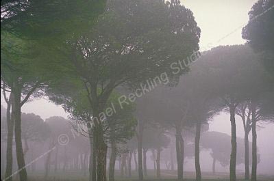 castilloCuellar-010