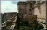 castilloCuellar-003a