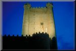 castilloFuensaldana-0270x
