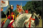 CastilloLaMota-0018
