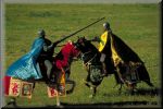 CastilloLaMota-0175