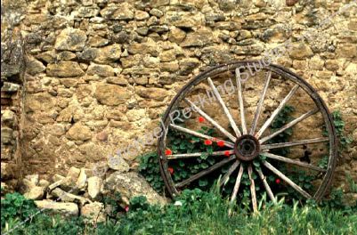 CastilloPampre-0010a