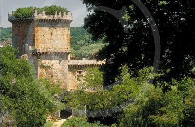 CastilloPampre-0026