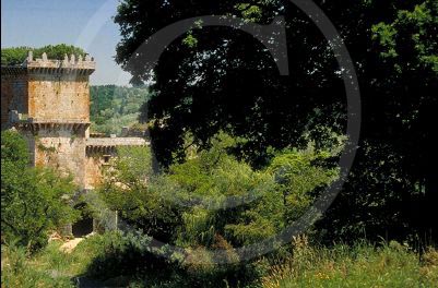 CastilloPampre-0027_2
