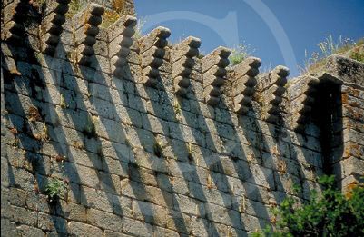 CastilloPampre-0029_2