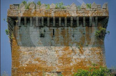 CastilloPampre-0031