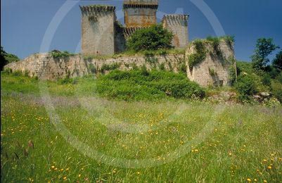CastilloPampre-0033