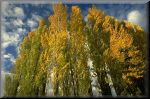 AlcazarSegovia021