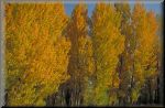 AlcazarSegovia034