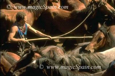 3-Img0027