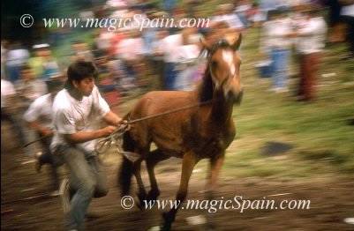6-Img0018