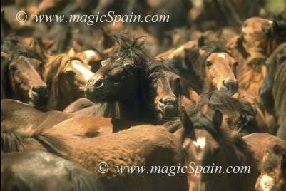 9-Img0038