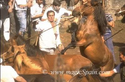91-Img0032