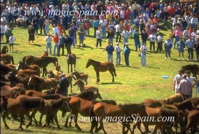 93-Img0036