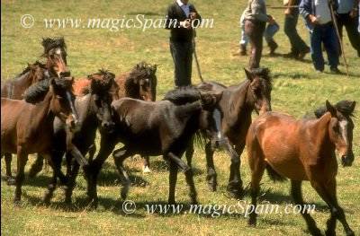 95-Img0040