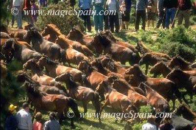 96-Img0039