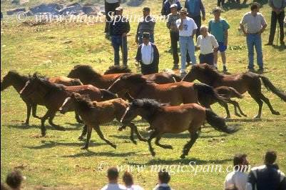 Img0033