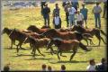 Img0033