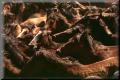 Img0042aa