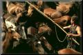Img0042aaa