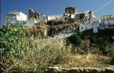 castillos-andalucia007