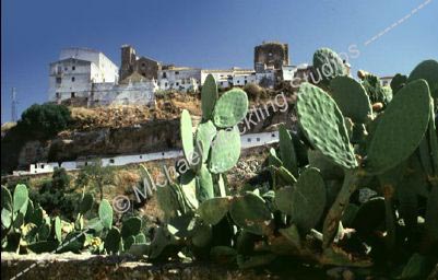 castillos-andalucia009