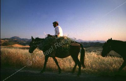 castillos-andalucia012