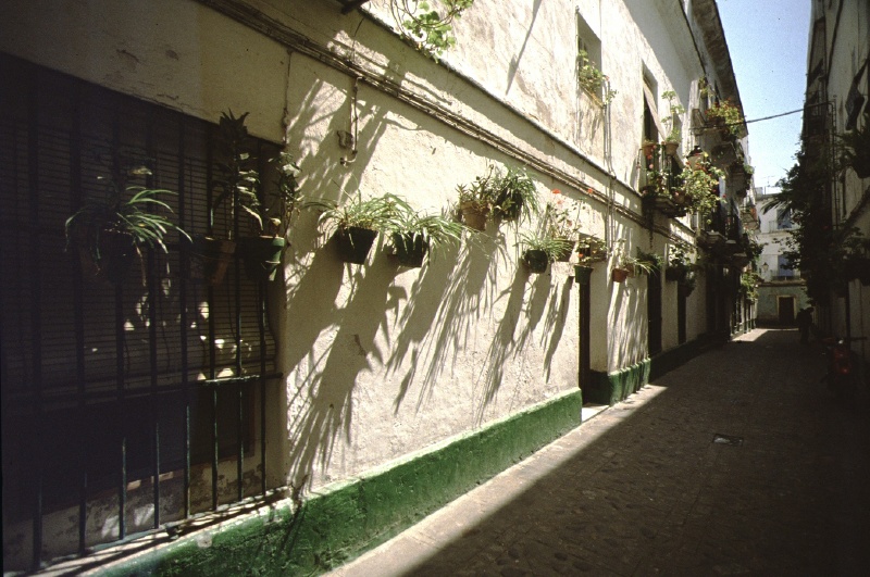 cadiz-1012