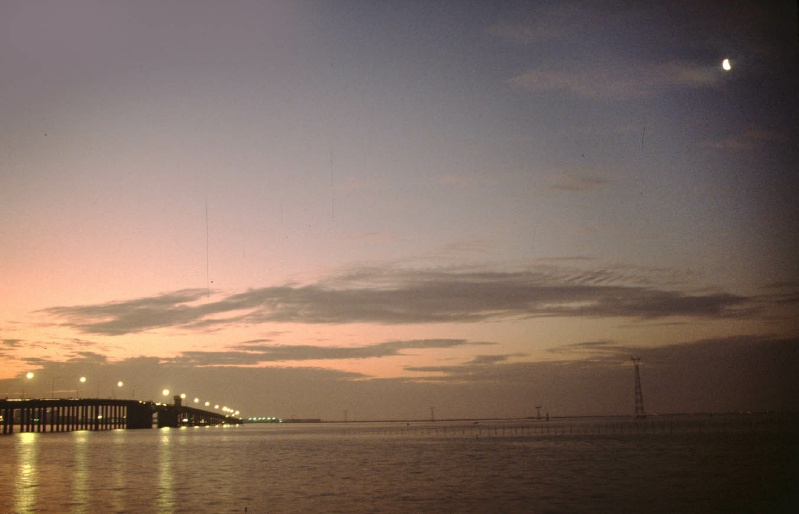 cadiz8-801