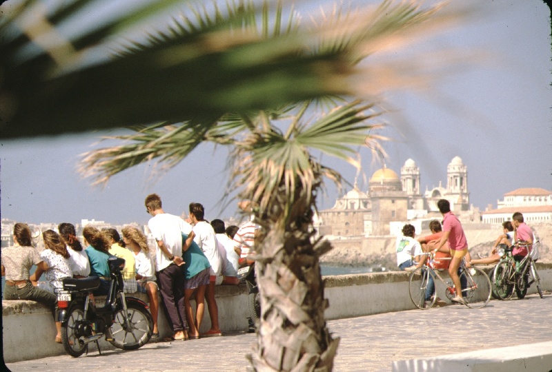 cadiz8-803