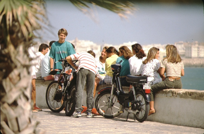 cadiz8-805