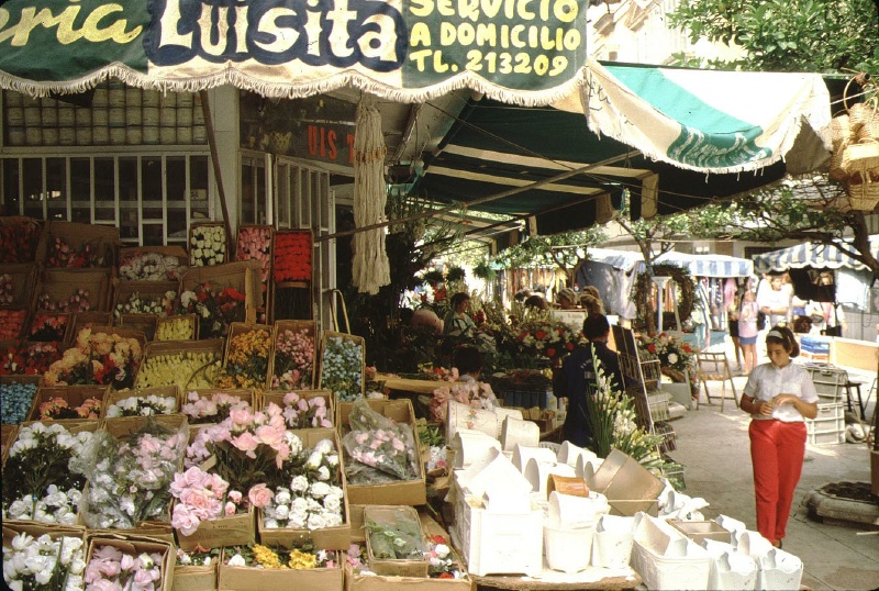 cadiz1-49