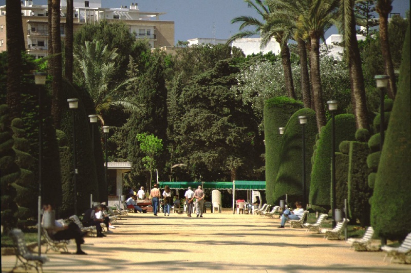 cadiz3-49