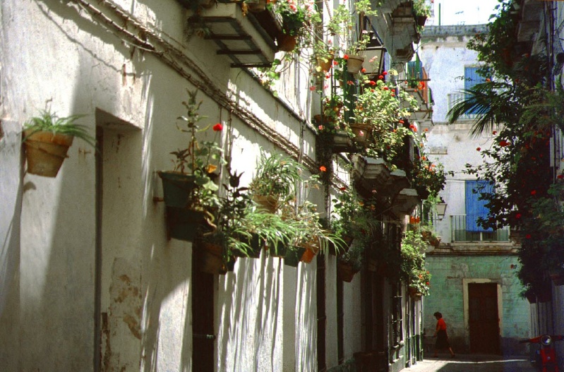 cadiz3-51