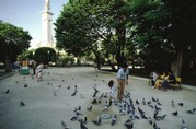 cadiz1-50