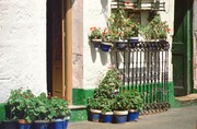 cadiz3-43