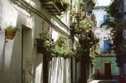 cadiz3-51