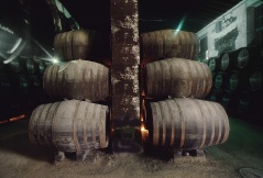 9t