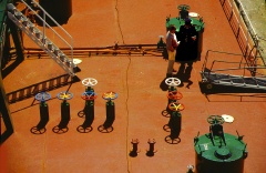 9z1