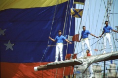 regata2-55