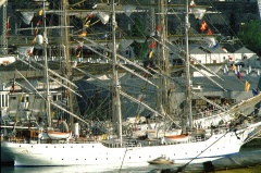 regata2-84