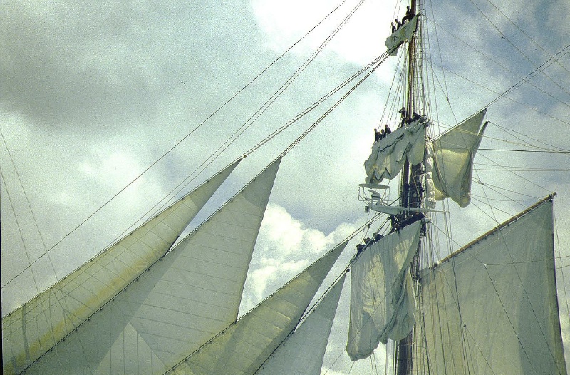 regata 2-10b